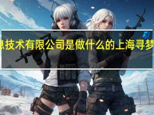 上海寻梦信息技术有限公司是做什么的 上海寻梦信息技术有限公司