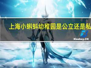 上海小蝌蚪幼稚园是公立还是私立