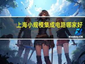 上海小规模集成电路哪家好