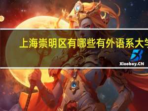 上海崇明区有哪些有外语系大学