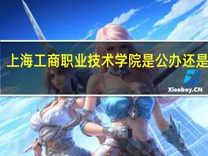 上海工商职业技术学院是公办还是民办