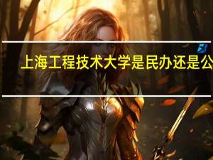 上海工程技术大学是民办还是公办
