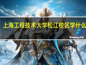 上海工程技术大学松江校区学什么专业