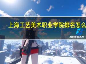 上海工艺美术职业学院排名怎么样