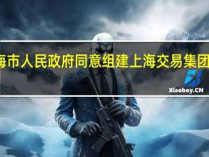 上海市人民政府同意组建上海交易集团有限公司