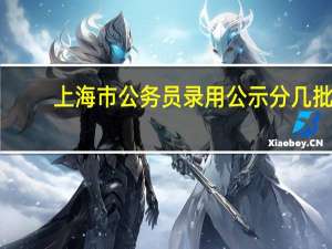上海市公务员录用公示分几批