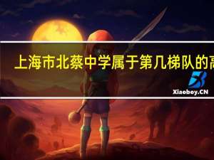 上海市北蔡中学属于第几梯队的高中