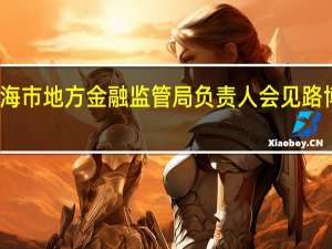上海市地方金融监管局负责人会见路博迈集团