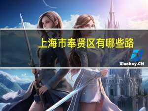 上海市奉贤区有哪些路