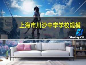 上海市川沙中学学校规模