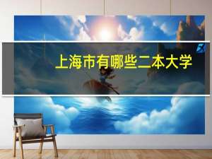 上海市有哪些二本大学