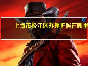 上海市松江区办理护照在哪里