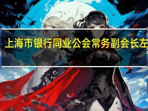 上海市银行同业公会常务副会长左家燕：加强对投资者权益保护的监管投入