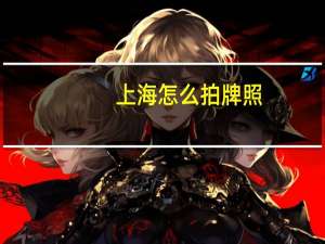 上海怎么拍牌照