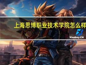 上海思博职业技术学院怎么样