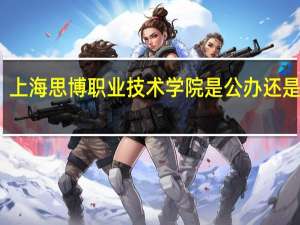 上海思博职业技术学院是公办还是民办