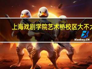 上海戏剧学院艺术桥校区大不大