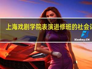 上海戏剧学院表演进修班的社会评价