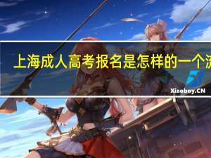 上海成人高考报名是怎样的一个流程