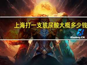 上海打一支玻尿酸大概多少钱 项思醒的整容做下来要多少钱