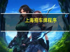 上海拍车牌程序
