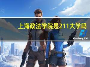 上海政法学院是211大学吗