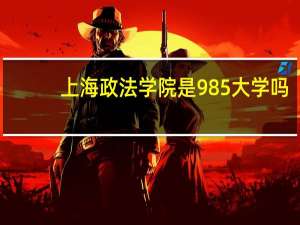 上海政法学院是985大学吗