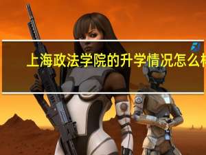 上海政法学院的升学情况怎么样