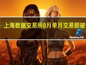 上海数据交易所8月单月交易额破亿元