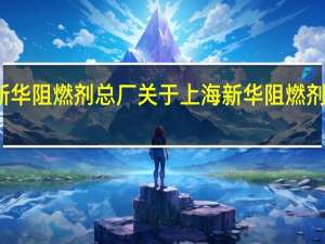 上海新华阻燃剂总厂 关于上海新华阻燃剂总厂的介绍