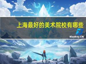 上海最好的美术院校有哪些？