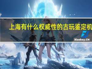 上海有什么权威性的古玩鉴定机构