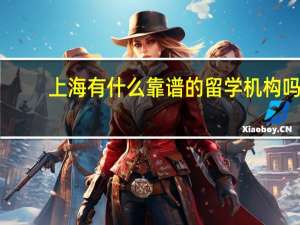 上海有什么靠谱的留学机构吗