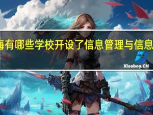 上海有哪些学校开设了信息管理与信息系统专业