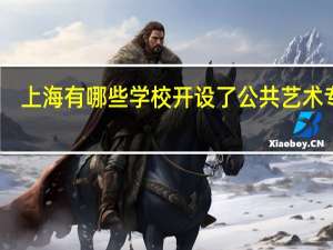上海有哪些学校开设了公共艺术专业