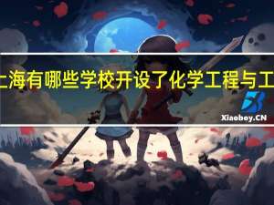 上海有哪些学校开设了化学工程与工艺专业