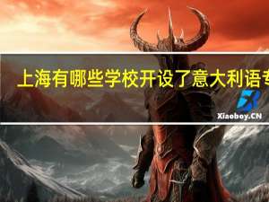上海有哪些学校开设了意大利语专业