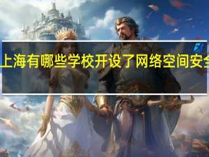上海有哪些学校开设了网络空间安全专业