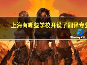 上海有哪些学校开设了翻译专业