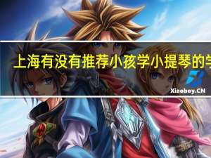 上海有没有推荐小孩学小提琴的学校，目前刚入门，想考级