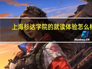 上海杉达学院的就读体验怎么样