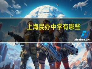 上海民办中学有哪些