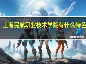 上海民航职业技术学院有什么特色专业，专业排名如何