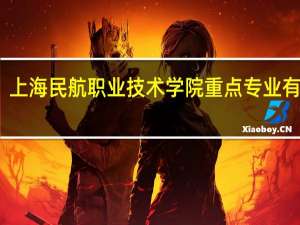 上海民航职业技术学院重点专业有哪些