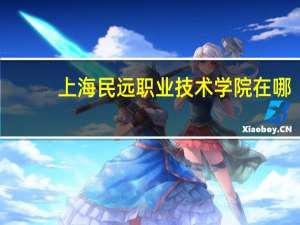 上海民远职业技术学院在哪