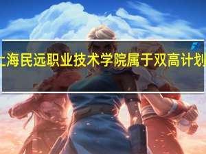 上海民远职业技术学院属于双高计划院校吗