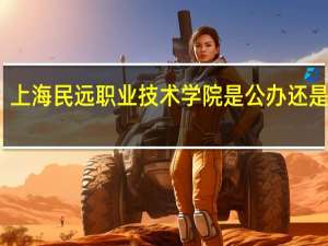 上海民远职业技术学院是公办还是民办