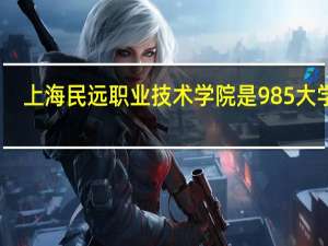 上海民远职业技术学院是985大学吗