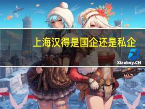 上海汉得是国企还是私企