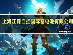 上海江森自控国际蓄电池有限公司简介